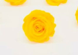 amarillo.jpg